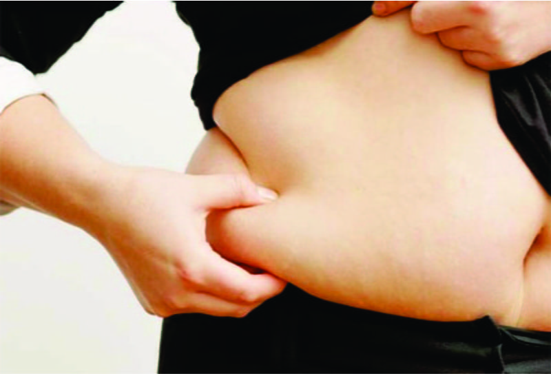 Thedalweb 14 உங்க தொப்பையை குறைக்க இத செஞ்சா போதுமாம்….! | Belly fat reduction methods
