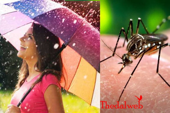 Thedalweb 6 காய்ச்சலை எதிர்கொள்ளும் இயற்கை மருத்துவம்.?(Herbal remedies for fever)