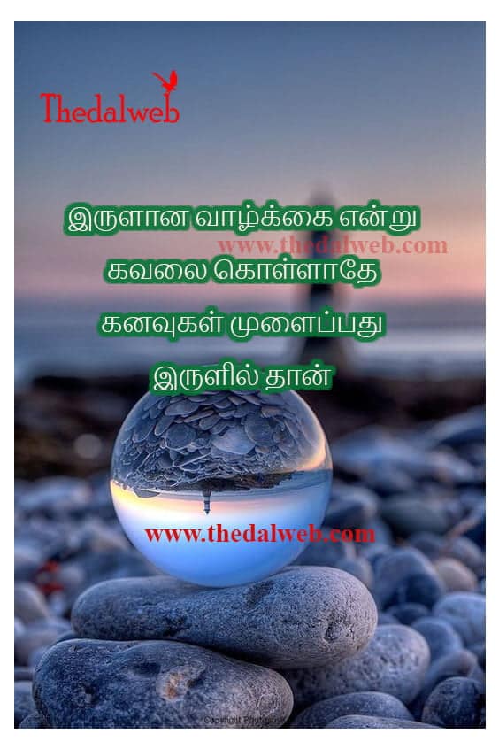 Motivation quote02 1 Thedalweb Motivational Quotes in Tamil