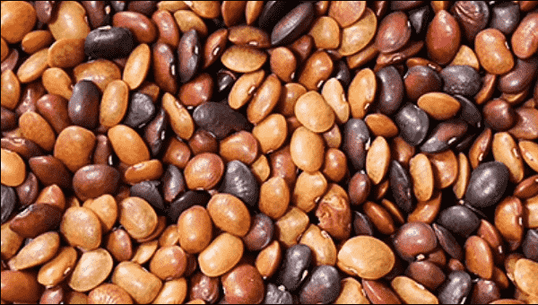கொழுப்பு, உடல் எடை குறைக்கும் – கொள்ளு நன்மைகள் 