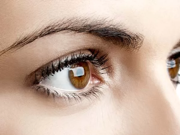 கண் பிரச்சனைகள் வராமல் இருக்க சிறந்த டிப்ஸ் 2 06 3 eyes jpg Thedalweb கண் பிரச்சனைகள் வராமல் இருக்க சிறந்த டிப்ஸ்