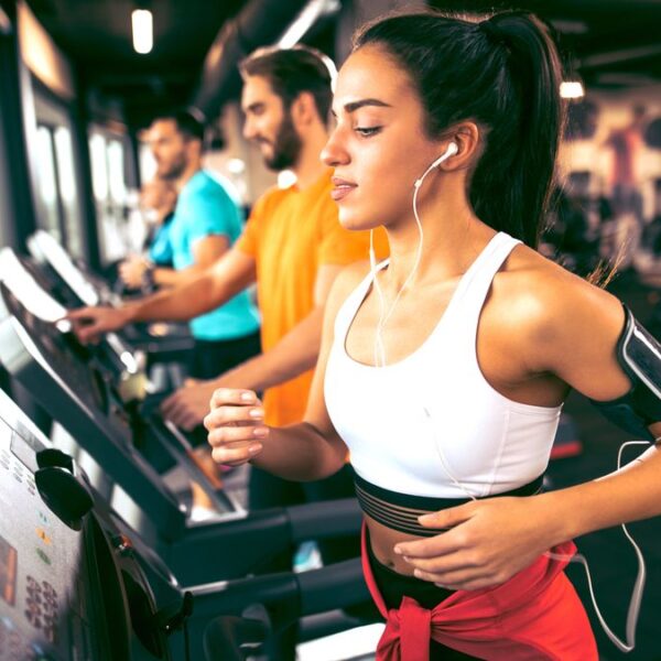 Thedalweb 29 Which is Better: Pushups or Gym Workouts?