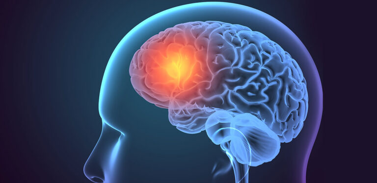 மனித உடலிலுள்ள முக்கியமான உறுப்புகள் எவை?