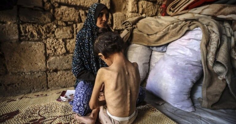 பாலஸ்தீனம் மீது இஸ்ரேல் நடத்தும் போரைக் கைவிட கவிஞர் வைரமுத்து வலியுறுத்தல் | vairamuthu urges Israel to abandon war against palestine