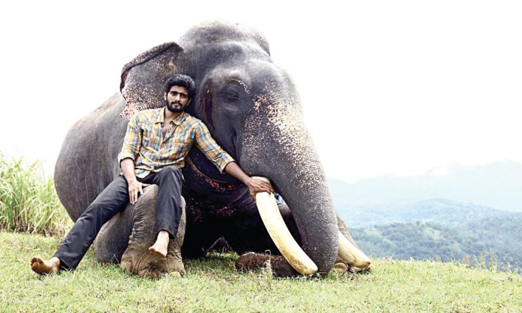 ‘கும்கி 2’ - யானையுடன் நடிக்க அறிமுக நடிகருக்கு பயிற்சி | Debutant actor trains to act with elephant in Kumki 2