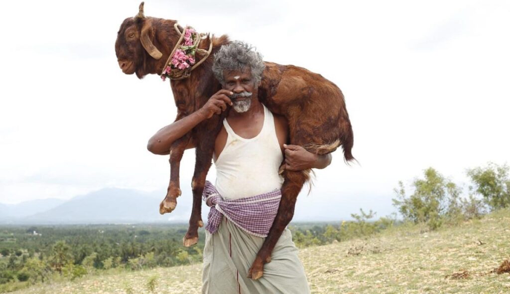 கொங்கு வட்டாரப் பின்னணியில் ‘ஒண்டிமுனியும் நல்லபாடனும்’ | ‘Ondimuniyum Nallapadanum’ Movie about Kongu Region Story