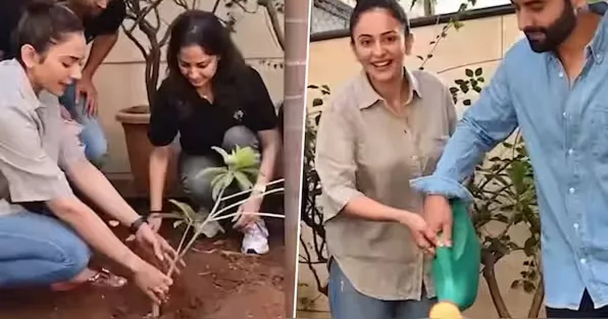 பாலிவுட் நடிகை: தேவையான காய்கறிகளை வீட்டிலேயே வளர்க்கும் நடிகை ரகுல் பிரீத் சிங் | Bollywood Actress: Actress Rakul Preet Singh grows her own vegetables at home