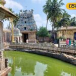 எத்தனை ஜோதிடம் பார்த்தாலும்  பயனில்லையா.? நாகநாதர் தரிசனத்தில் கைமேல் பலன் உண்டு…