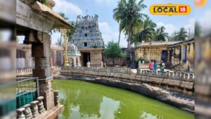 HYP 5632266 cropped 11122025 101249 image search 1765426545733 1 3x2 Thedalweb எத்தனை ஜோதிடம் பார்த்தாலும் பயனில்லையா.? நாகநாதர் தரிசனத்தில் கைமேல் பலன் உண்டு...