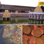 கோயில் குளங்களில் காசு வீசுவது மூட நம்பிக்கையா, அறிவியலா… யாருக்குமே தெரியாத தகவல் இதோ… | ஆன்மிகம்