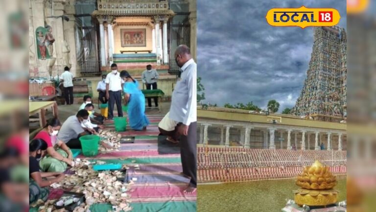 உலகப் புகழ் பெற்ற மதுரையின் மீனாட்சி அம்மன் கோவிலில் ஒரு கோடியே 25 லட்சத்திற்கு உண்டியல் காணிக்கை கிடைத்துள்ளதாக கோவில் நிர்வாகம் சார்பில் அறிவிக்கப்பட்டுள்ளது. | மதுரை