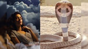 Snake dream 1 2025 12 be8eca5c3c97fbad090a4bc99fc4e651 3x2 Thedalweb கனவில் பாம்பு வந்தால் இதுதான் அர்த்தமா? தெரிஞ்சா ஷாக் ஆகிடுவீங்க!