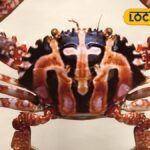 கடலில் விழுந்த சிலுவை கரை தேடி வந்த ஆச்சரியம்… சிலுவை நண்டின் பின்னணியில் உள்ள சுவாரஸ்யம்…