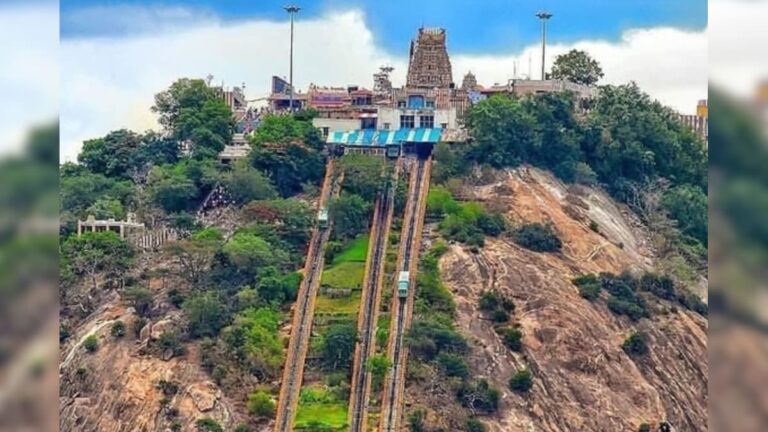 முருக பக்தர்களே.. பழனி முருகன் கோயிலில் இன்று இந்த சேவை நிறுத்தம்.. கோயில் நிர்வாகம் முக்கிய அறிவிப்பு! | ஆன்மிகம்