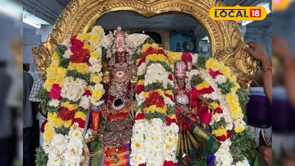 HYP 5699017 cropped 12012026 164143 images watermark 12012026 2 3x2 Thedalweb முருகன்–தெய்வானைக்கு நாளை (ஜன.14) சர்க்கரை பொங்கல் படையல்... விழாக்கோலத்தில் திருப்பரங்குன்றம்... | மதுரை