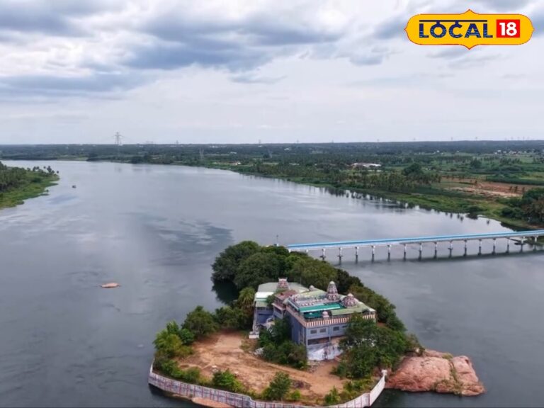 3000 ஆண்டுகள் பழமையான அதீ மரம்… சிவனால் உருவாக்கப்பட்ட கோயில்… தமிழ்நாட்டில் இப்படியொரு கோயிலா..?