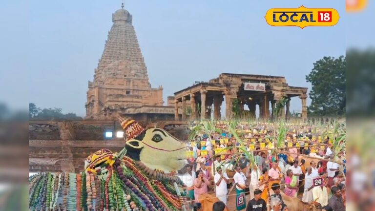 பெரிய கோவில் மாட்டுப்பொங்கல்… 2000 ஆயிரம் கிலோ உணவுப் பொருட்களால் நந்திக்கு அலங்காரம் ! | தஞ்சாவூர்