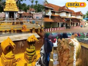 HYP 5716021 cropped 20012026 184942 inshot 20260120 184853974 1 Thedalweb நாகர்கோவிலுக்கு பெயரே இப்படி தான் வந்ததாம்... பாம்பு கடியால் மக்கள் பாதிக்கப்படாததன் பின்னணி...