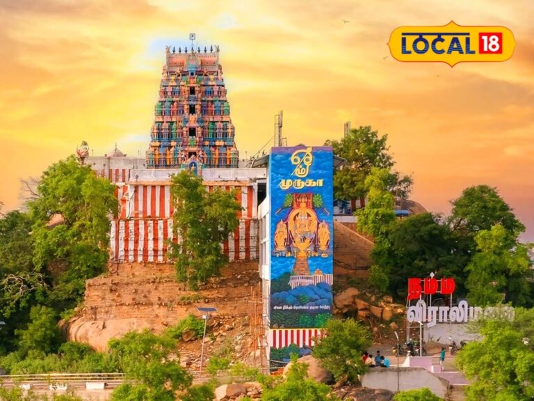 தைப்பூசம் வந்தாச்சு – விராலிமலை முருகன் கோவிலில் தேரோட்ட திருவிழா தொடங்கியது…