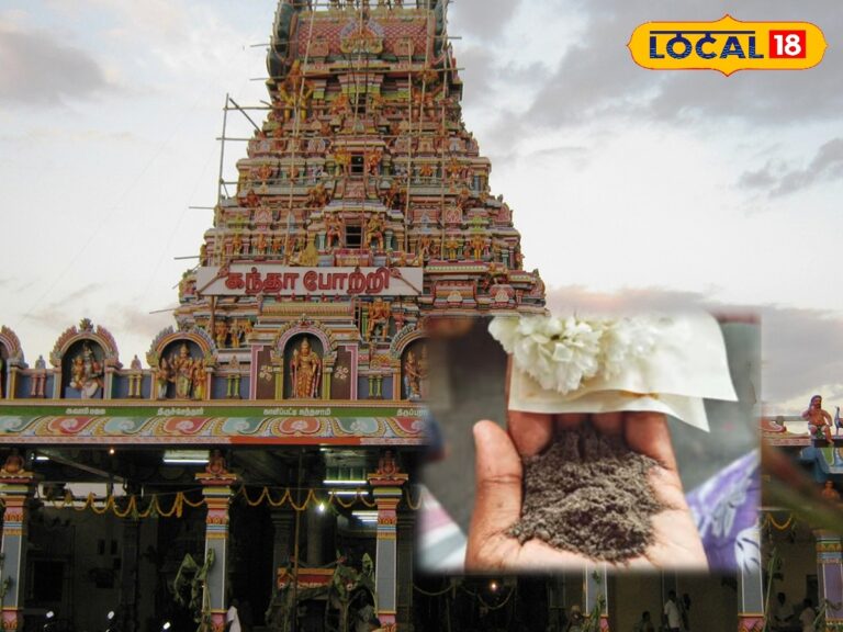 உலகிலேயே மிகவும் சக்தி வாய்ந்த “திருநீறு” கொண்ட முருகன் கோவில்… எங்கு இருக்கு தெரியுமா ? | தமிழ்நாடு போட்டோகேலரி