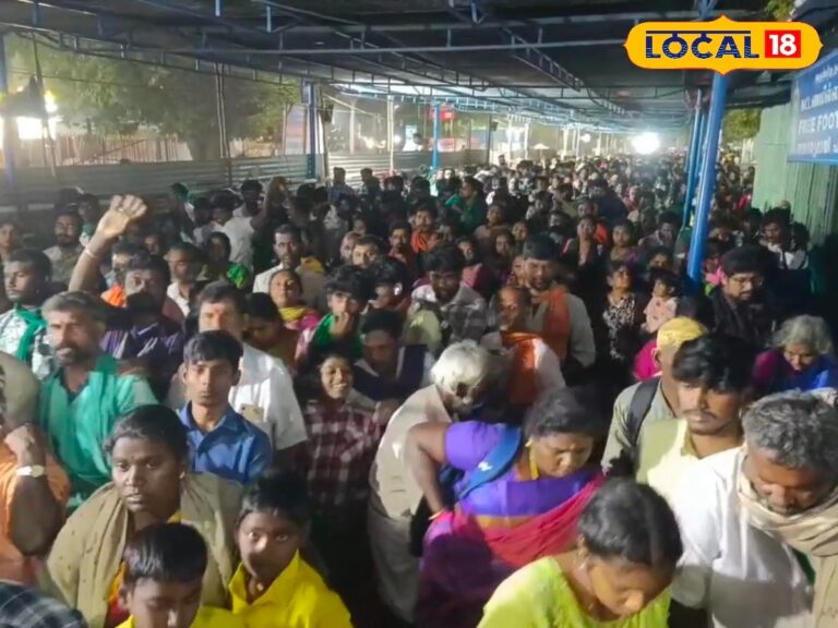 பழனி முருகன் கோவிலில் களைகட்டிய தைப்பூசத் திருவிழா… லட்சக்கணக்கான பக்தர்கள் தரிசனம்… | Spirituality News (ஆன்மீக செய்திகள்)