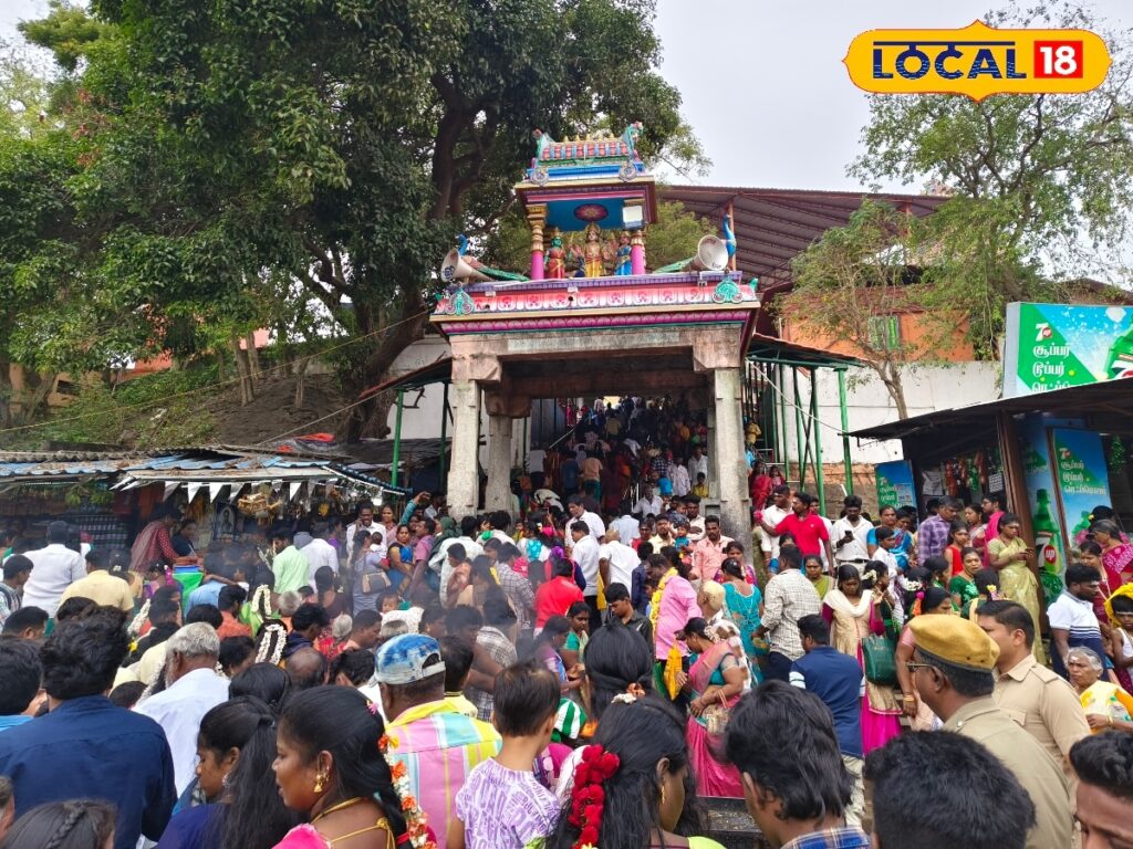 HYP 5738849 cropped 01022026 161105 img 20260201 100844 waterm 1 Thedalweb தங்க கவசத்தில் காட்சியளித்த முருகன்... மயிலம் முருகன் கோவிலில் தைப்பூச விழா கோலாகலம்... | Spirituality News (ஆன்மீக செய்திகள்)