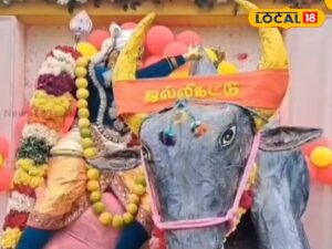 HYP 5739168 cropped 01022026 190200 1769952713598 watermark 01 2 Thedalweb ஜல்லிக்கட்டு காளையுடன் மல்லுகட்டிய கார்த்திகேயன்... பக்தர்களை கவர்ந்த கந்தன் அலங்காரம்... | Spirituality News (ஆன்மீக செய்திகள்)