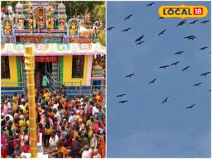 HYP 5739961 cropped 02022026 113354 inshot 20260202 113010086 1 Thedalweb கருடர்கள் வானத்தில் வட்டமிட்ட அதிசயம்... பூங்காவன முத்துமாரியம்மன் கும்பாபிஷேகம்... | Spirituality News (ஆன்மீக செய்திகள்)