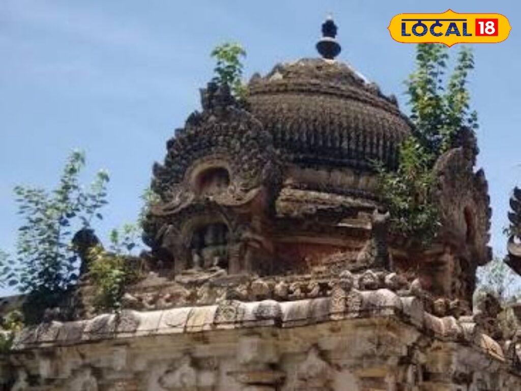 HYP 5758853 cropped 12022026 004341 images watermark 12022026 1 Thedalweb இந்திரன் குற்றத்தை பொறுத்த இறைவன்... தலை ஞாயிறு குற்றம் பொறுத்த நாதர் கோயில் சிறப்புகள்... | ஆன்மீகம் போட்டோகேலரி