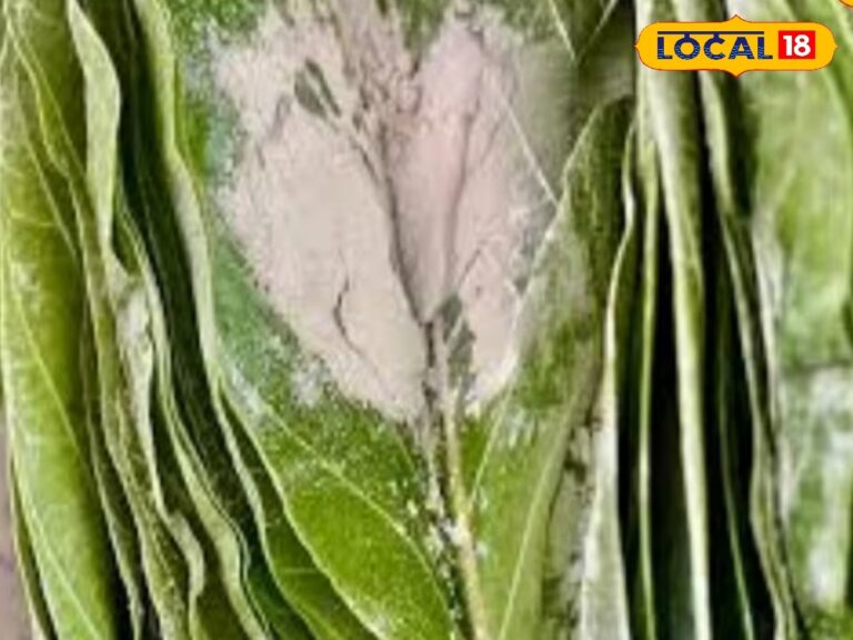 ஆறுமுகனின் அருள் பெற்ற அதிசய விபூதி… திருச்செந்தூர் போகும் பக்தர்களே இதை மிஸ் பண்ணிடாதீங்க…