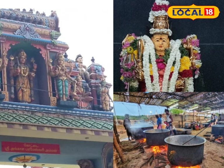 அங்காளம்மன் கோயில் திருவிழா… 1000-க்கும் மேற்பட்ட கிடாக்கள், 25,000 பேருக்கு கறி விருந்து அன்னதானம் ! | Erode Photogallery (ஈரோடு போட்டோகேலரி)