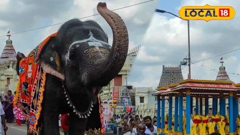 கும்பகோணத்தில் துவங்கிய மாசி மகம் – ஆதிகும்பேஸ்வரர் கோவிலில் 64 நாயன்மார்களின் வீதியுலா… | Spirituality News (ஆன்மீக செய்திகள்)