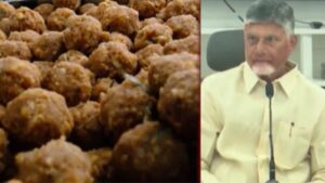 Tirupati Laddu 2026 02 fa28cdba5f823ca79cc2a802db3bfe5c Thedalweb திருப்பதி தேவஸ்தான கலப்பட நெய் விவகாரம் : முதல்வர் சந்திரபாபு நாயுடு அதிரடி அறிவிப்பு | Spirituality News (ஆன்மீக செய்திகள்)