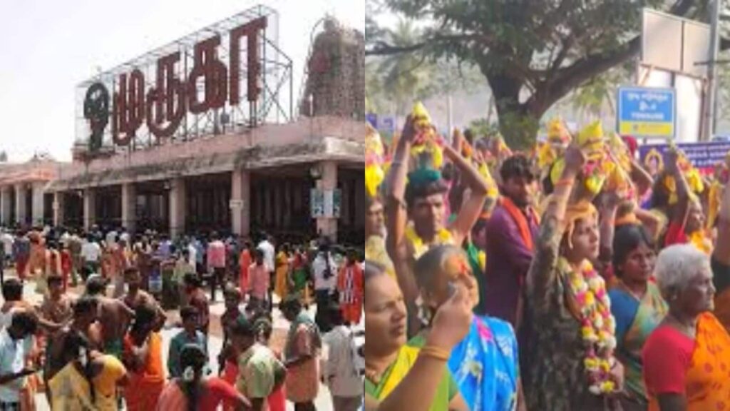 palani thaipoosam 2026 02 4d540ec033e31761dd976b7496bd3834 Thedalweb தைப்பூசம் 2026 : முருகனின் அறுப்படை வீடுகளில் கோலாகல கொண்டாட்டம் | Spirituality News (ஆன்மீக செய்திகள்)