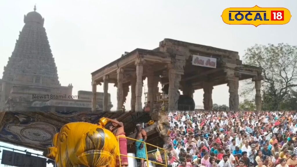 HYP 5792689 cropped 02032026 070946 inshot 20260302 070923628 1 1200x675 Thedalweb பாவ விமோசனத்திற்கு பிரதோஷ வழிபாடு... பெரிய கோவிலில் பெருநந்திக்கு 12 வகை திரவிய அபிஷேகம் | Spirituality News (ஆன்மீக செய்திகள்)
