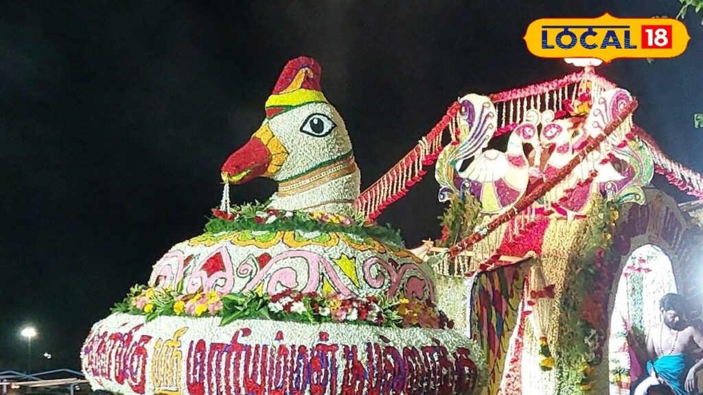 HYP 5798761 cropped 06032026 010852 hyp 5040239 cropped 160320 2 1200x675 Thedalweb மதுரையில் களைகட்டும் பங்குனி திருவிழா… தெப்பக்குளம் மாரியம்மன் கோவில் தயாராகிறது... | Madurai Photogallery (மதுரை போட்டோகேலரி)