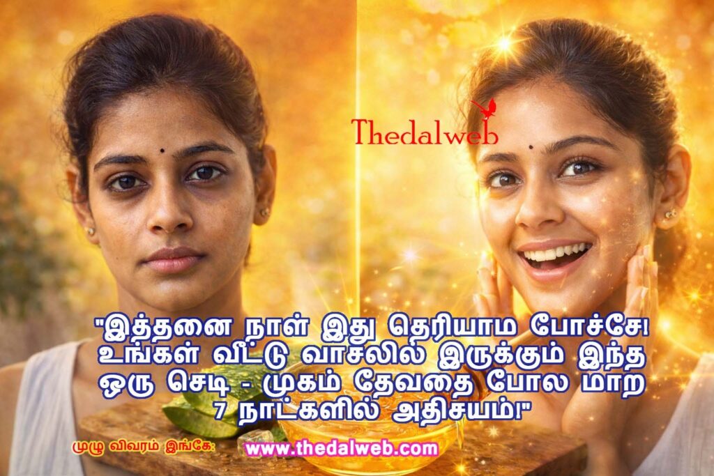 ✨ முகம் தங்கம் போல ஜொலிக்க! 2026-ல் சருமப் பாதுகாப்பிற்கு கற்றாழையின் 10 ஆச்சரியமான பயன்கள் (Tamil Beauty Tips)