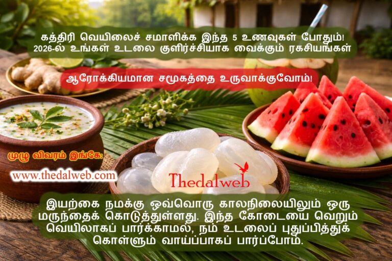 கத்திரி வெயிலைச் சமாளிக்க இந்த 5 உணவுகள் போதும்! 2026-ல் உங்கள் உடலை குளிர்ச்சியாக வைக்கும் ரகசியங்கள் – Best cooling foods for summer
