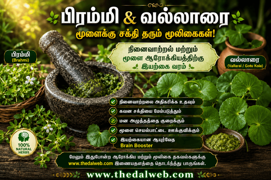 Traditional Tamil Herbs Brahmi Vallarai For Nervous Weakness Cure.