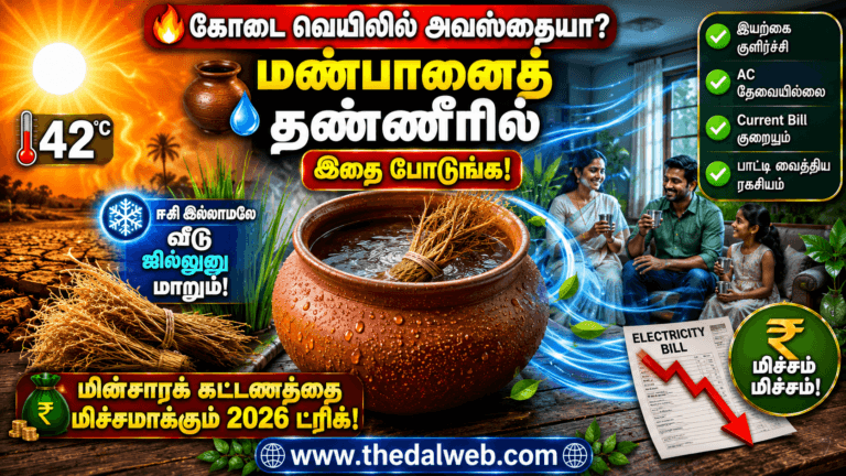 வெயில் காலத்தில் மண்பானைத் தண்ணீரில் ‘இந்த’ ஒரு பொருளைப் போட்டு குடிங்க… ஏசி (AC) இல்லாமலே வீடு ஜில்லுனு மாறும்! 2026 தமிழ் வீட்டு வைத்தியம் | Clay Pot Water Cooling Tricks