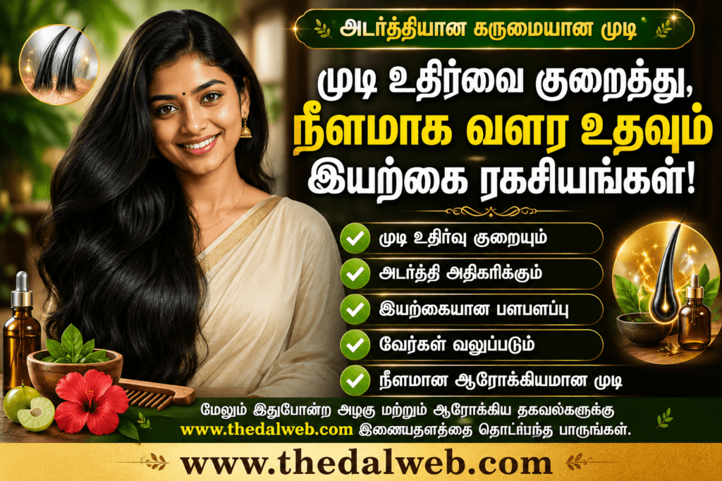 உங்களுக்கு இந்த 5 தலைமுடி பிரச்சினை இருந்தா கூந்தல் பராமரிப்பு டிப்ஸ் தமிழ் ThedalWeb