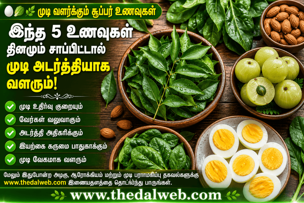 முடி வளர சாப்பிட வேண்டிய இயற்கை உணவுகள் இரும்புச்சத்து உணவுகள் தமிழ்