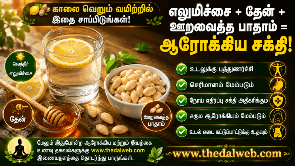 தினமும் காலையில் வெறும் வயிற்றில் சாப்பிட வேண்டிய 5 ஆரோக்கியமான உணவுகள் இதோ! நீண்ட ஆயுள் தரும் ரகசியங்கள் | Healthy Breakfast Tips in Tamil 2026 1 தினமும் காலையில் வெறும் வயிற்றில் சாப்பிட வேண்டிய 5 ஆரோக்கியமான உணவுகள் இதோ தமிழ் ThedalWeb