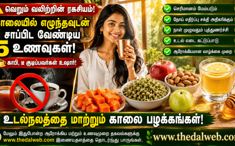 தினமும் காலையில் வெறும் வயிற்றில் சாப்பிட வேண்டிய 5 ஆரோக்கியமான உணவுகள் இதோ! நீண்ட ஆயுள் தரும் ரகசியங்கள் | Healthy Breakfast Tips in Tamil 2026