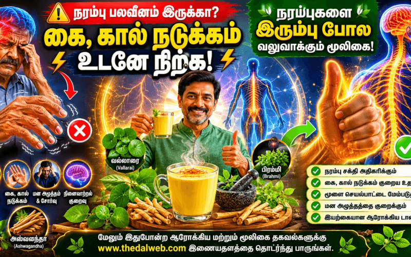 கை, கால் நடுக்கம் உடனே நிற்கணுமா? பலவீனமான நரம்புகளை இரும்பு போல மாற்றிடும் 5 அமேசிங் நரம்பு பலம்பெற மூலிகை ரகசியங்கள் 2026! | Nerves Strengthening Herbs in Tamil (Narambu Balambera)
