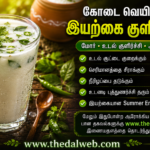 Traditional South Indian spiced buttermilk for body heat reduction in summer