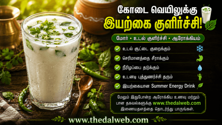 சாதாரண மயக்கமா அல்லது ஹீட் ஸ்ட்ரோக் (Heat Stroke) அறிகுறியா? வெயிலில் செல்லும் போது உயிர் காக்கும் 5 முதலுதவி வழிகாட்டி! | Summer Health Tips in Tamil 2026