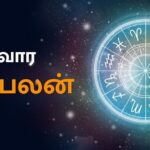 Thedalweb