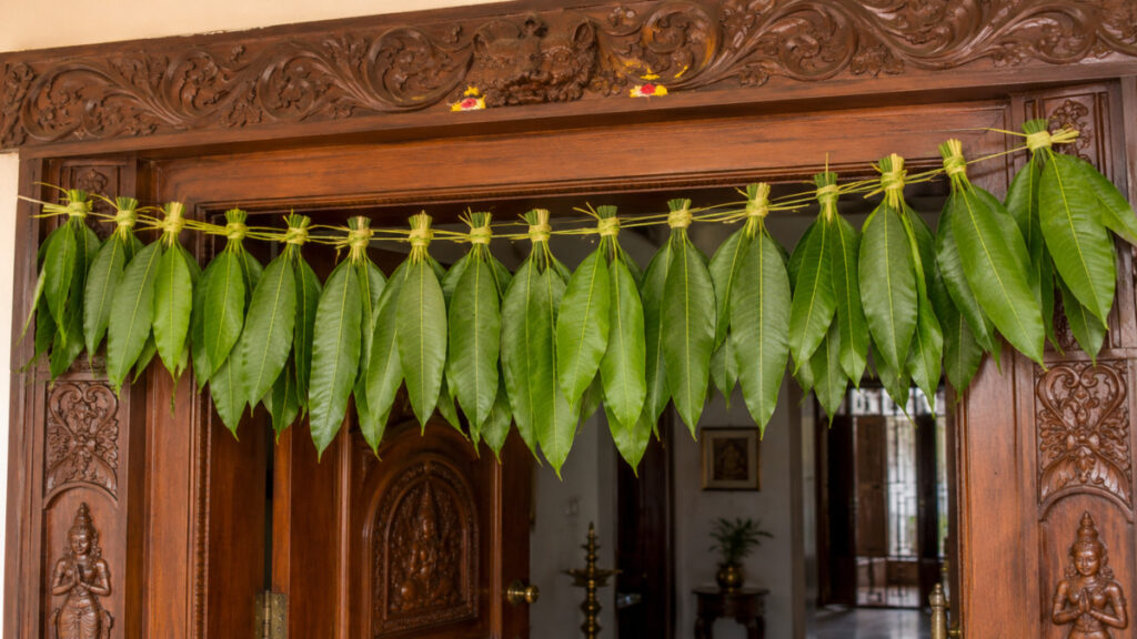 Fresh green mango leaves toran hanging on traditional South Indian wooden main door.
